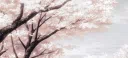 ˖ ݁ seiyα Discord server banner