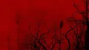 Scarlet Touch 🎀 banner