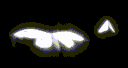 calamity banner