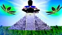 Kelp Shack™ Discord server banner