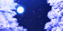 𝓝𝓲𝓰𝓱𝓽𝓕𝓪𝓵𝓵  𝓥𝓲𝓫𝓮𝓼 banner