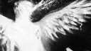 𝐆𝐎𝐃 𝐁𝐋𝐄𝐒𝐒 || Discord server banner