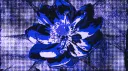 Kurohana Discord server banner