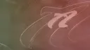 ALAS REGION banner