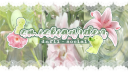 ˖ 𑣲 smiskigarden﹒dnfil﹒social Discord server banner