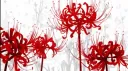 Imperia X banner