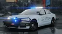 Peach State Response Network (PSRN) banner