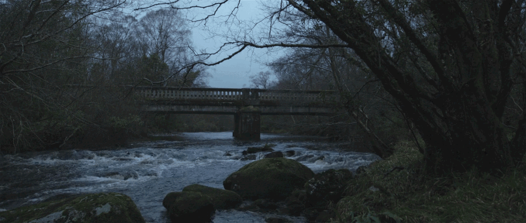 storybrook Discord server banner