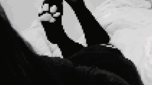 ♱ Dollescent ♱ Discord server banner