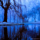 Willow Discord server banner