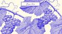 Grape Banner
