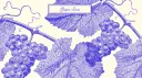 Grape Banner