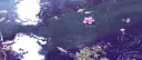 cozy corner gaming𝜗𝜚 16+ server banner