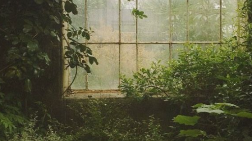 🌳 ✮ denver's den ⋆. 🍃 Discord server banner