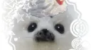 kawaii kittens server banner