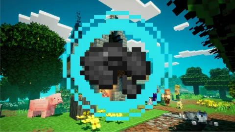 Disc SMP Pubcord banner