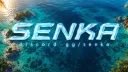 SENKAโข banner