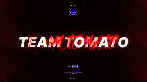 Team Tomato Discord server banner