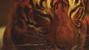 Vyoren — lf members banner