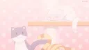 ᴘᴀᴡꜱɪᴇ ۶ৎ Discord server banner