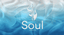 SouL banner