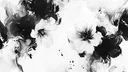 vain#2894 banner
