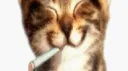 Undercover Online banner