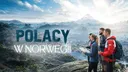 Banner Polacy w Norwegii - NO Polacy