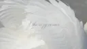 The cozy corner Discord server banner