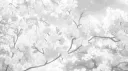 /harmlesscrue banner