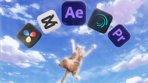 COS | Catty Official Server Discord server banner