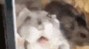 바람의나라 banner
