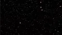 fang banner