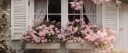 𑣲Lace‑Kissed Estate Discord server banner