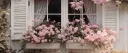𑣲Lace‑Kissed Estate banner