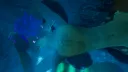 Midnight's Cove Discord server banner
