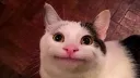 Death mau | ELYTRA GIVEAWAY RN banner