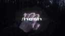 /nesh banner