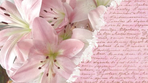 Kozy Korner౨ৎ Discord server banner