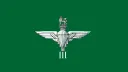 3rd Battalion The Parachute Regiment banner