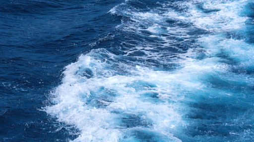 B L U E H A V E N Discord server banner