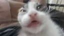 โณ โ ๐๐๐ง๐ง๐๐ค๐ง๐จ : ๐๐ค๐ก๐จ๐ฉ๐๐๐ โ Discord server banner