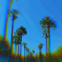 Palm Paradise banner