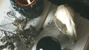 ♡・𝘜𝘬𝘪𝘺𝘰 ¹⁸⁺ Discord server banner
