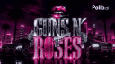 GUNS N' ROSES banner