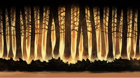 Nocti banner