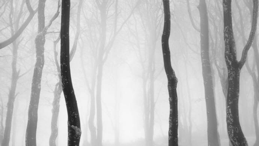 wip 𓎟 /SLENDER ﹕ PAGES Discord server banner