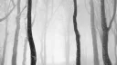 ㆍ j2l=ban ♰ /𝔖𝐋𝐄𝐍𝐃𝐄𝐑 ﹕ 𝔓𝐀𝐆𝐄𝐒 Discord server banner
