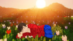 The Mirrorverse server banner