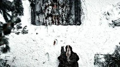 ◜𖤍 ﹟The Wilderness Chose Discord server banner